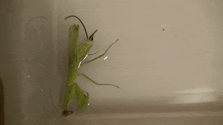 interestingfacts186_009