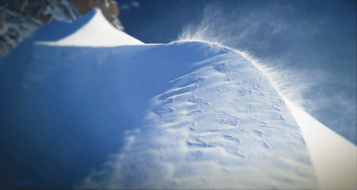 interestingfacts187_002