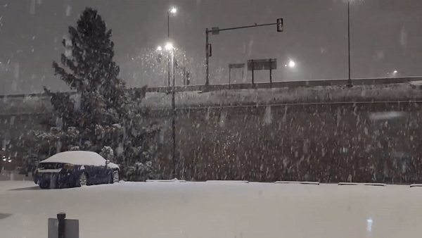 interestingfacts187_007