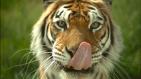 interestingfacts191_003