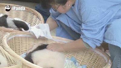 interestingfacts191_006