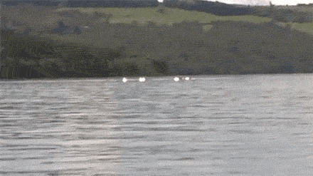 interestingfacts192_006