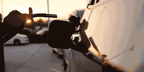 interestingfacts193_002