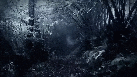 interestingfacts194_005