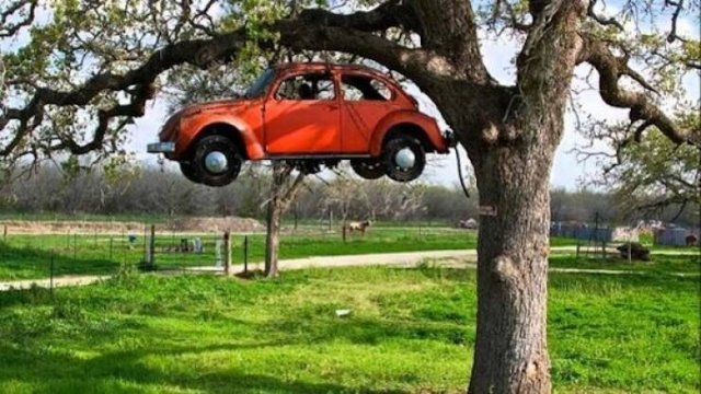randompics1516_054