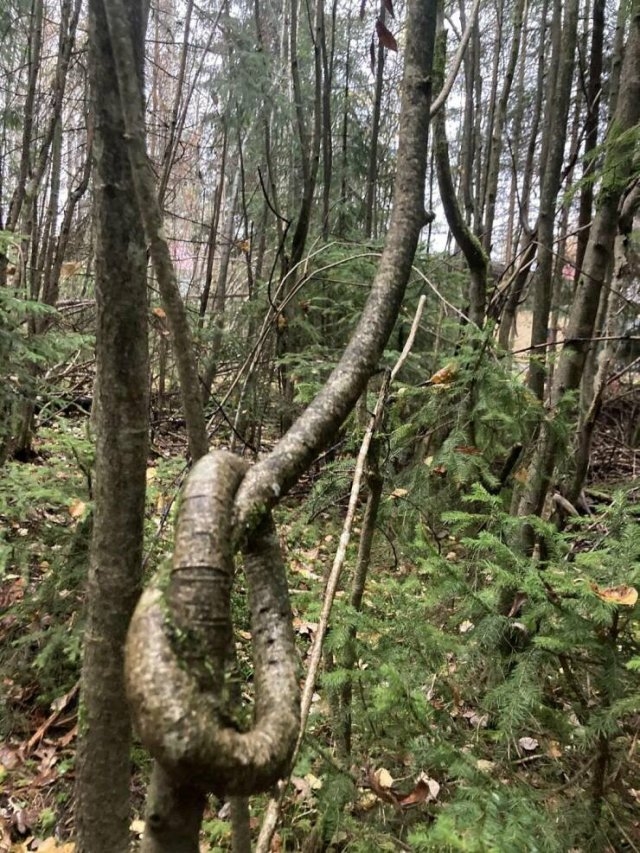 randompics1518_047