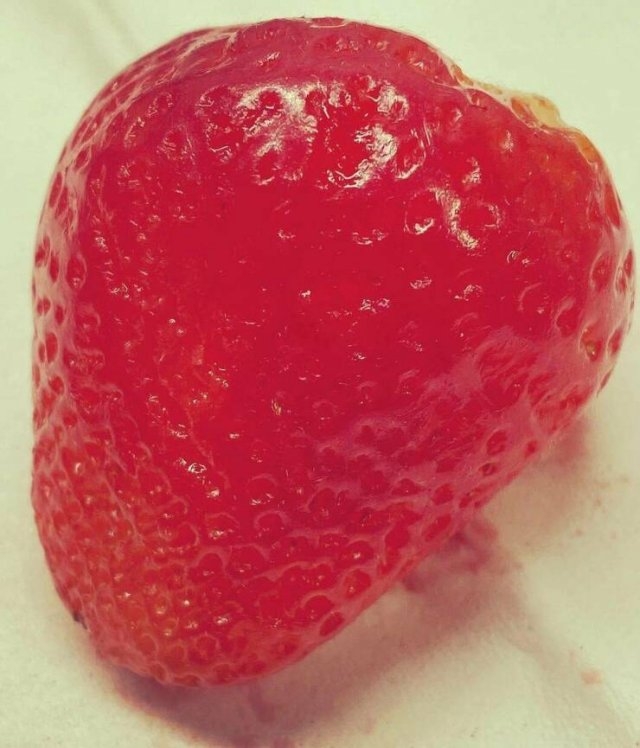 randompics1518_055