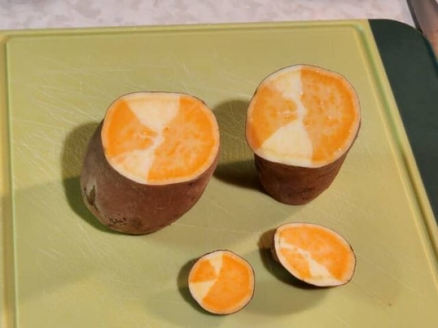 randompics1524_072