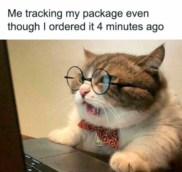 blackfridaymemes_019