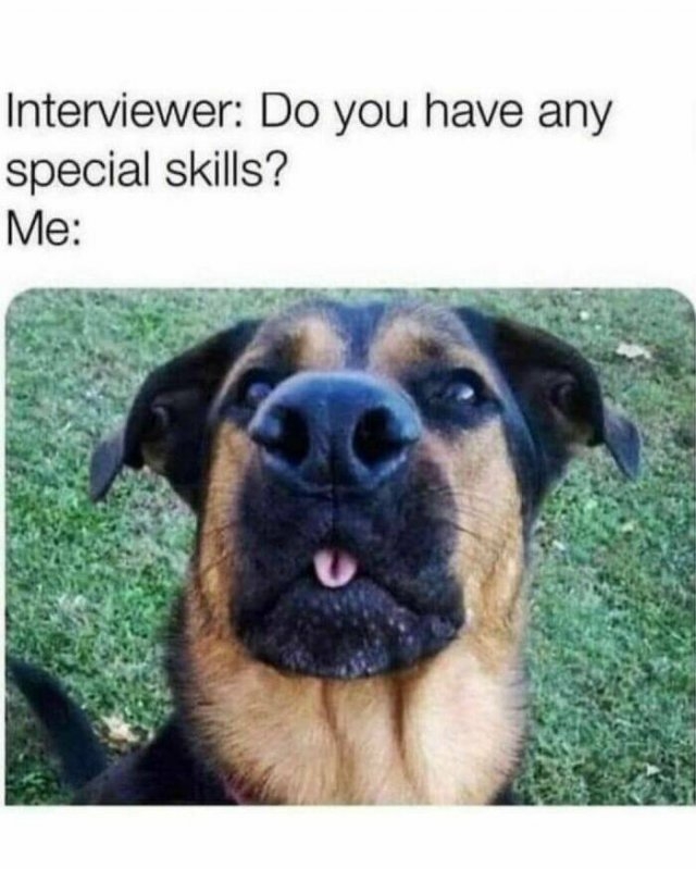 dogmemes6_006
