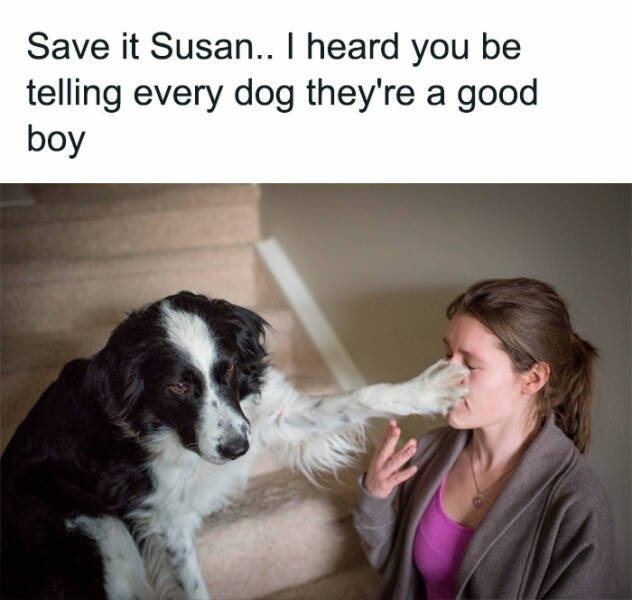 dogmemes6_011