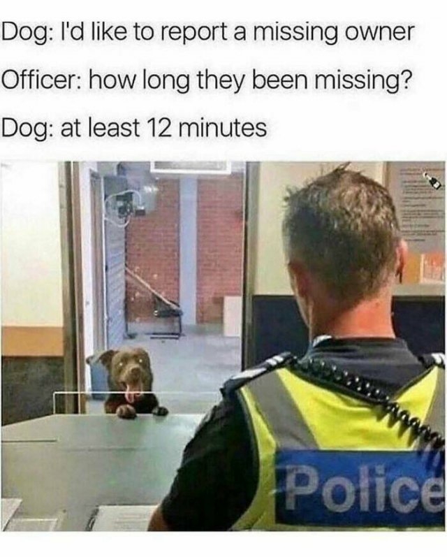 dogmemes6_014