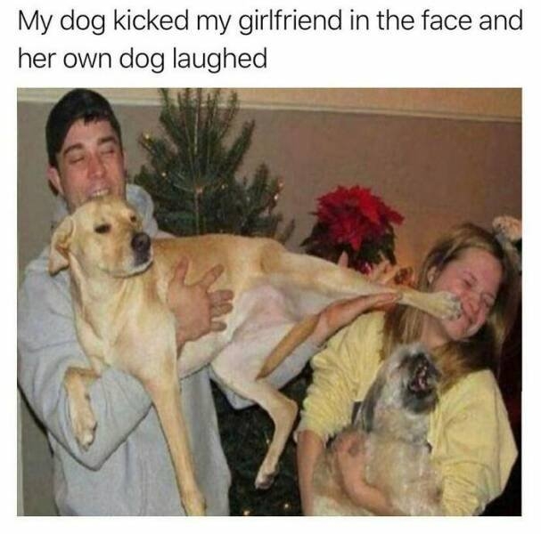 dogmemes6_015