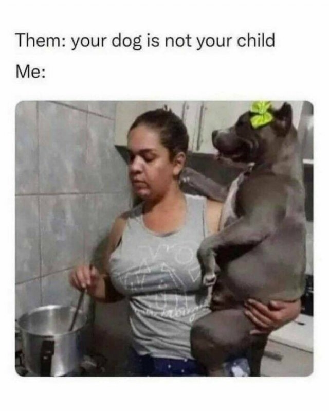 dogmemes6_016
