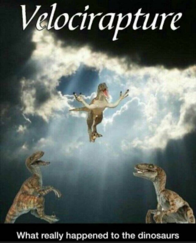 funnymemes238_005