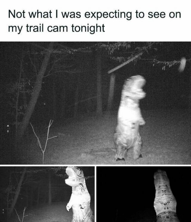 funnymemes238_006