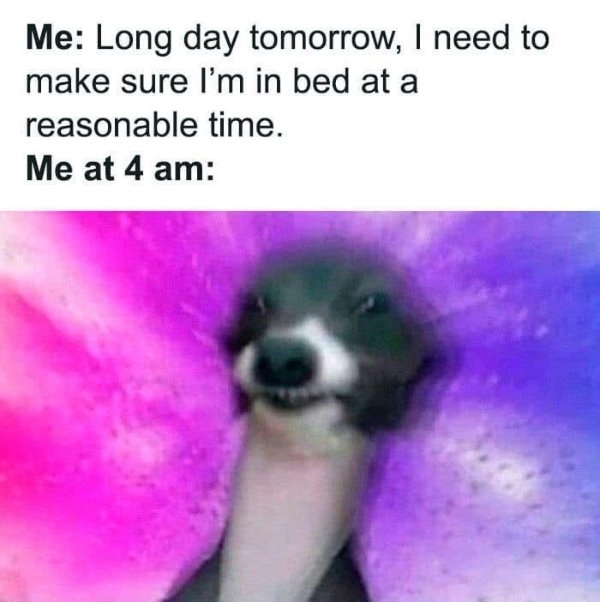 funnymemes238_007
