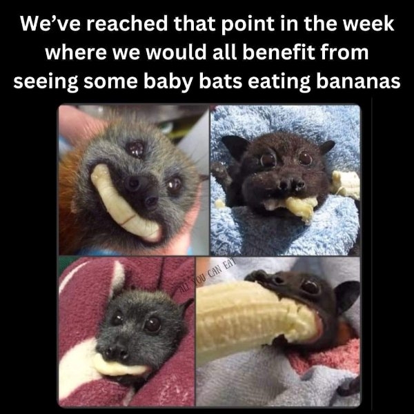 funnymemes238_010