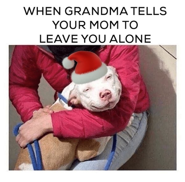 funnymemes238_040