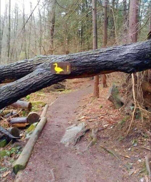 funnysigns41_008