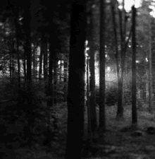 interestingfacts199_008