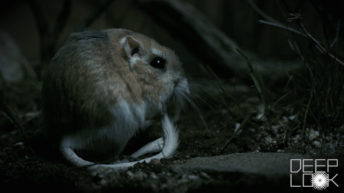 interestingfacts200_014