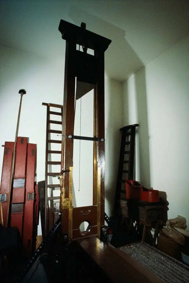 interestingfacts201_017