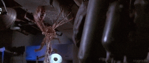 interestingfacts204_005