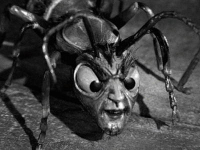 interestingfacts204_012