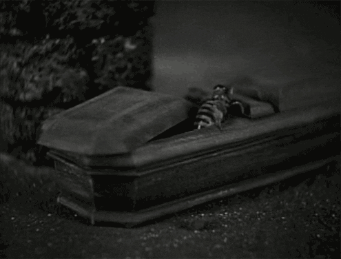 interestingfacts204_014