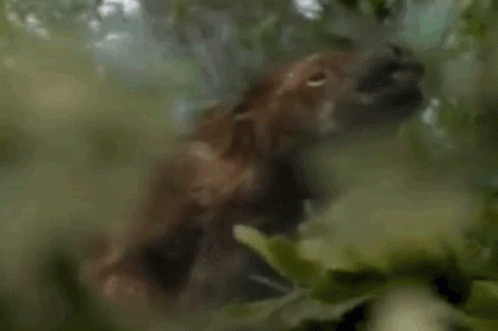 interestingfacts206_004