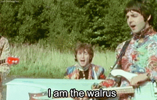 interestingfacts210_011