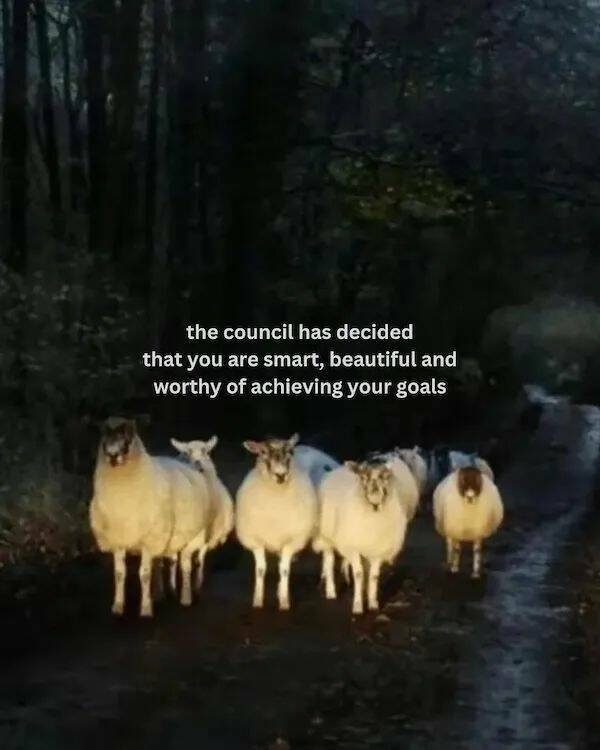 motivational_005
