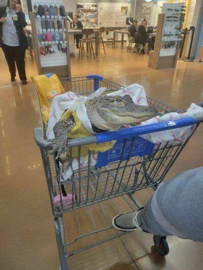 randompics1548_079