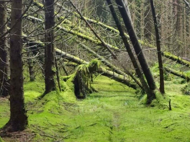 randompics1552_058