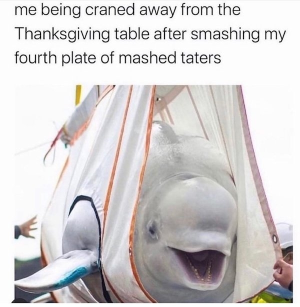 thanksgivingmemes2_011