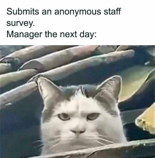 workmemes35_007