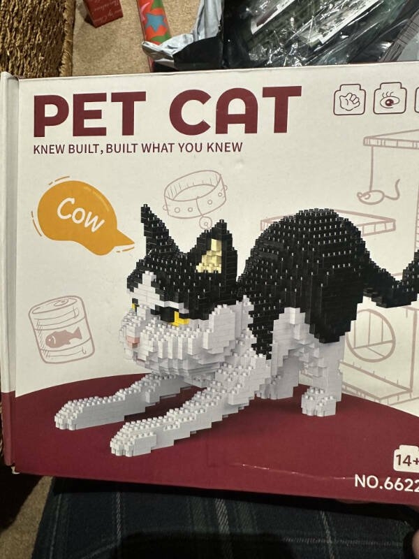 badtranslations12_002