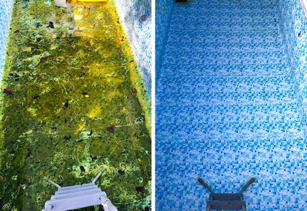 deepcleaning32_008