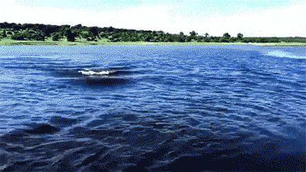 interestingfacts213_001