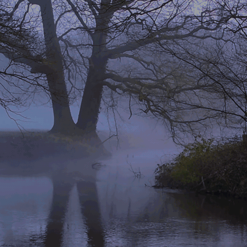 interestingfacts213_003