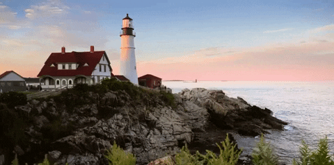 interestingfacts217_004