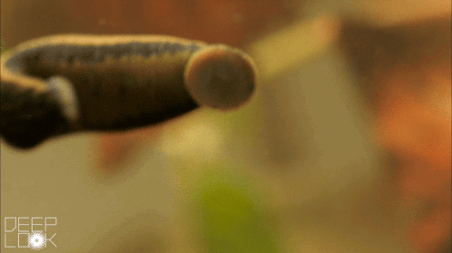 interestingfacts221_007