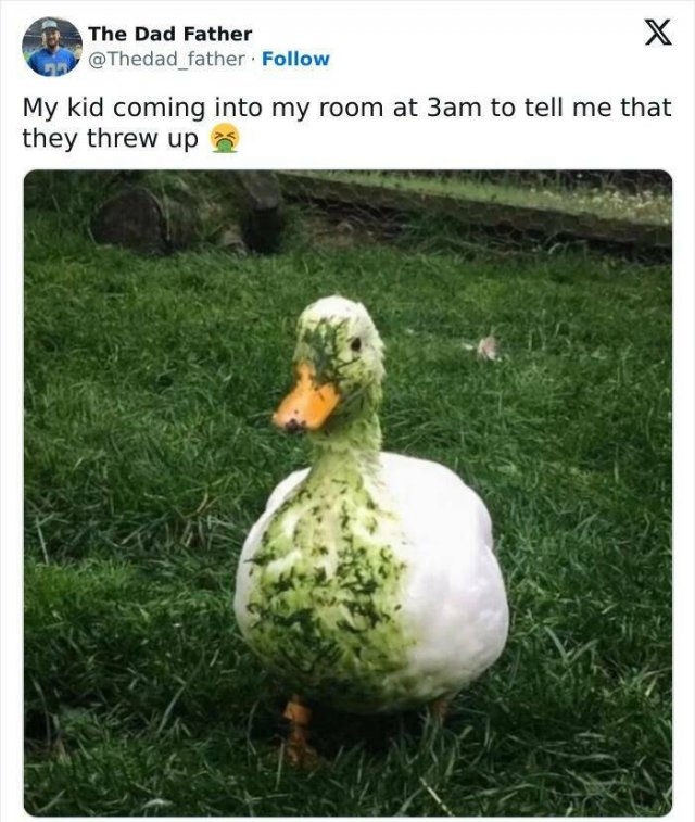 parentingmemes14_014