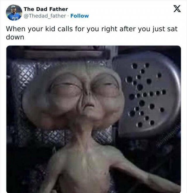 parentingmemes14_017