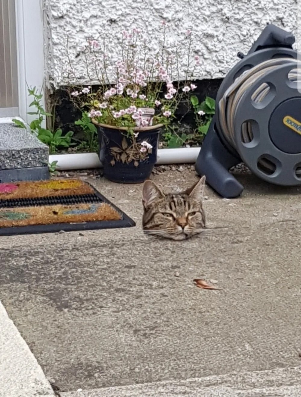 perfectphotos100_032