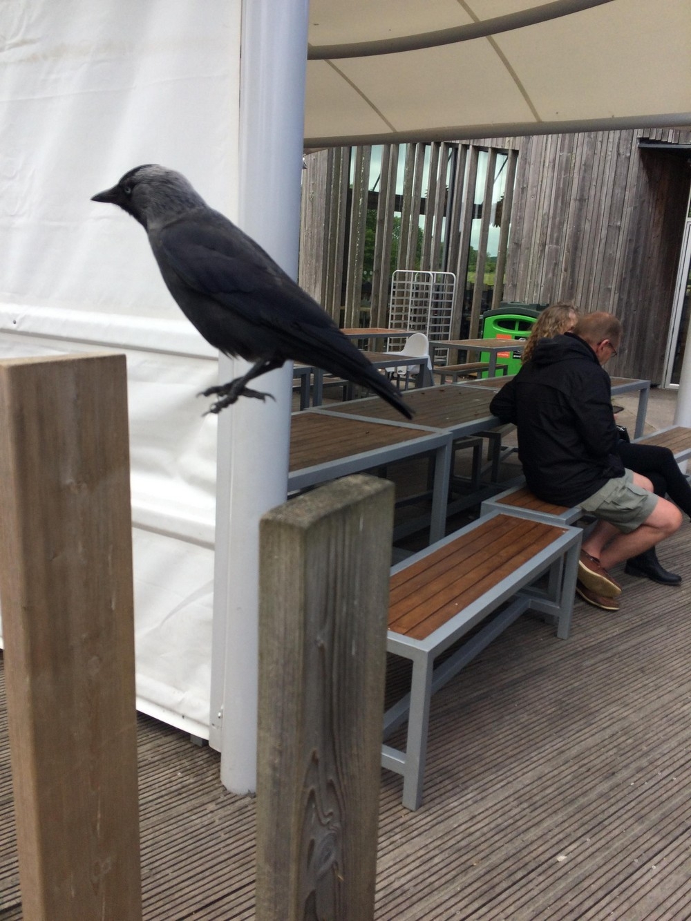 perfectphotos100_036