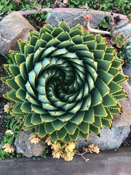 perfectphotos102_013