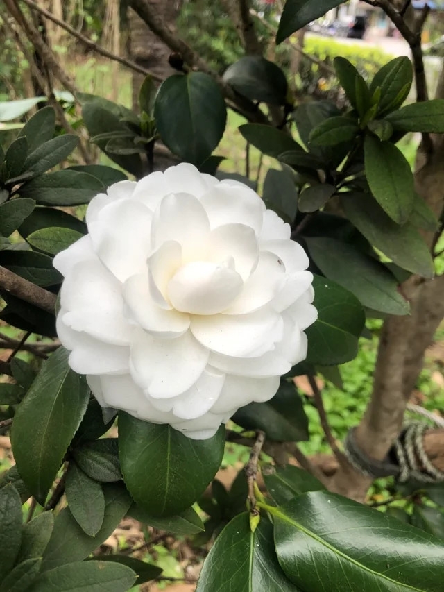 perfectphotos103_019