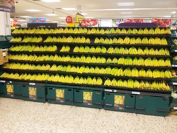 perfectphotos104_018